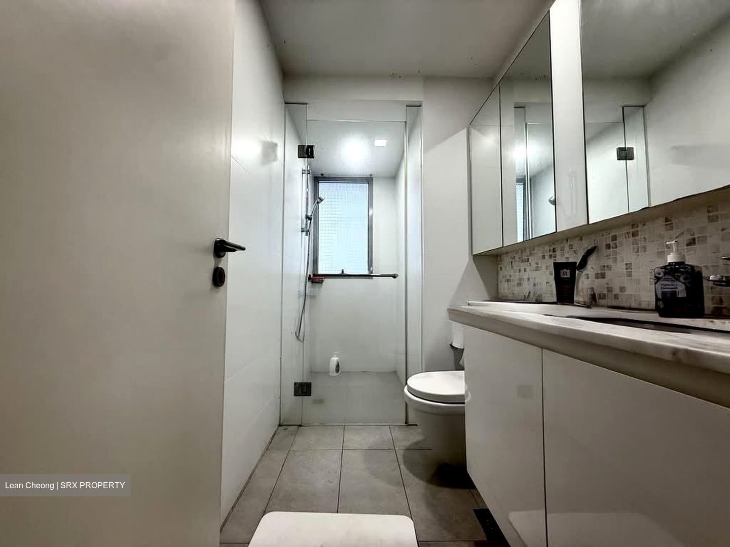 The Minton (D19), Condominium #533212971